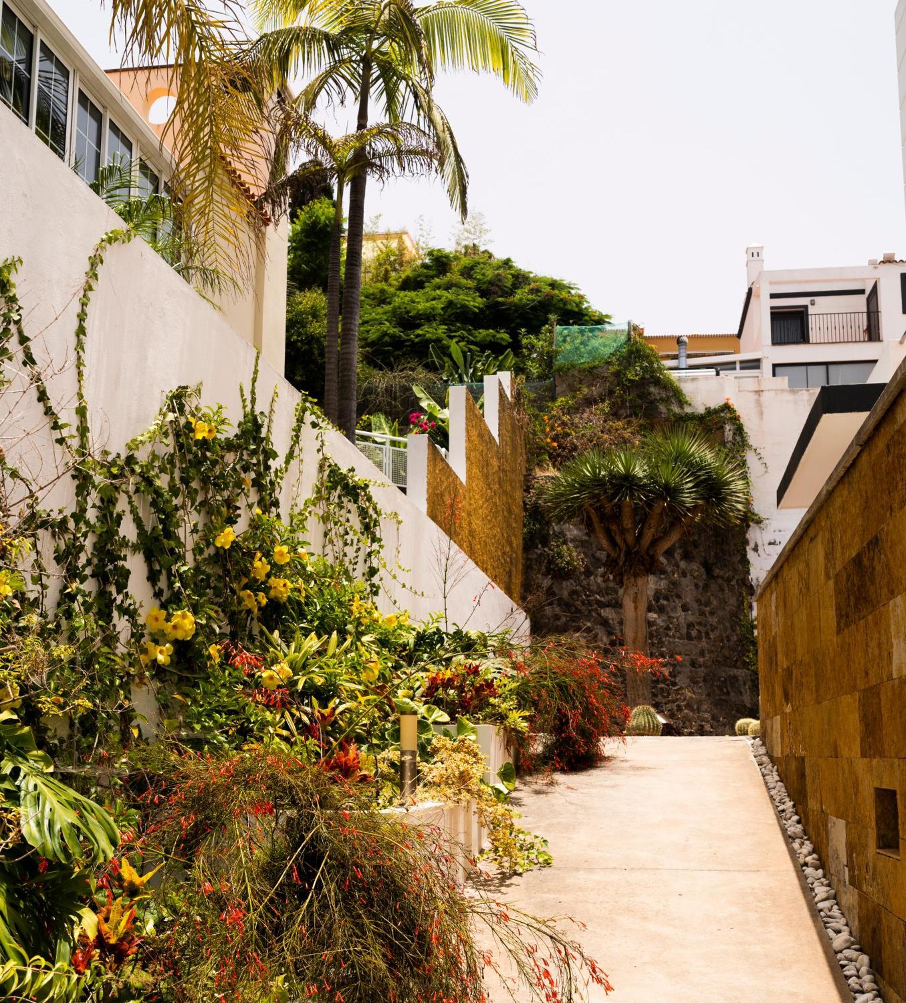 Villa Laurisilva 绍萨尔 外观 照片